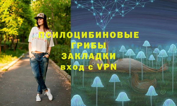 спиды Надым