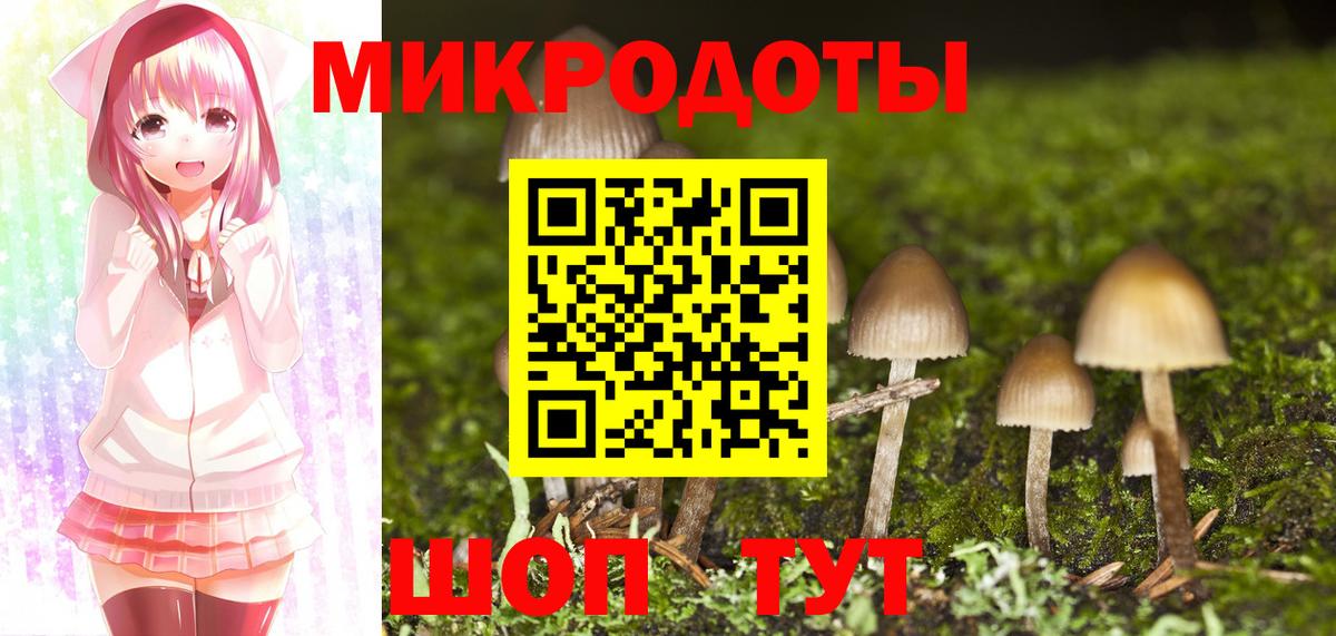 Псилоцибиновые грибы Cubensis  Псилоцибиновые грибы Psilocybine cubensis  Касимов  Вход с VPN 